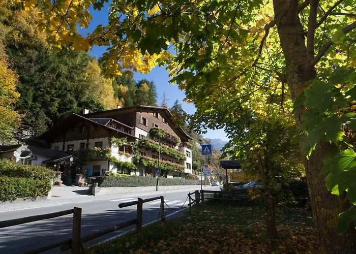 Hotel Daniela