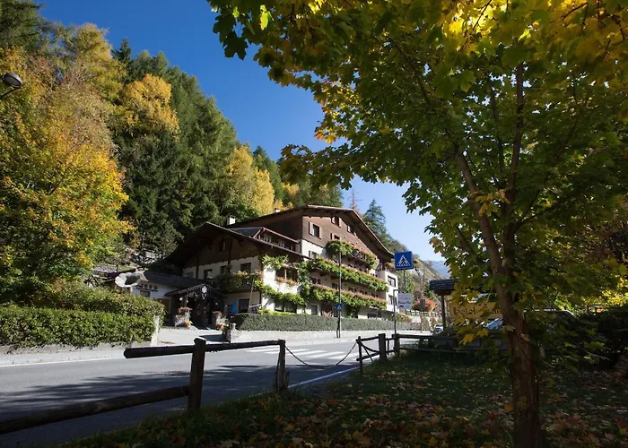 Daniela Hotel